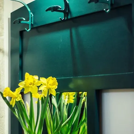 Balloon Design Molfetta